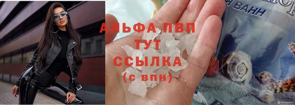 индика Богородицк