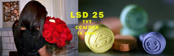 молекула духа Вуктыл