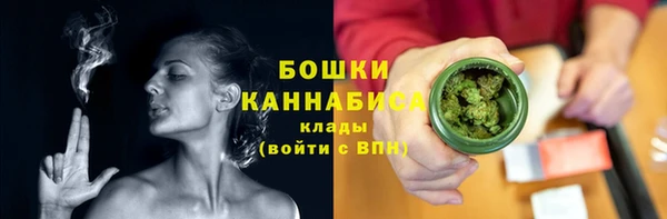 молекула духа Вуктыл