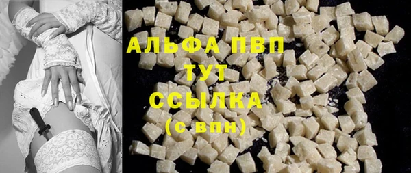 прущие крисы Пересвет