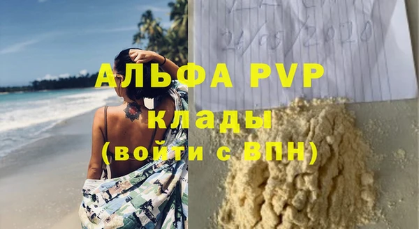индика Пестово