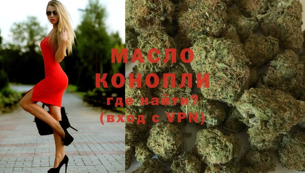 индика Пестово