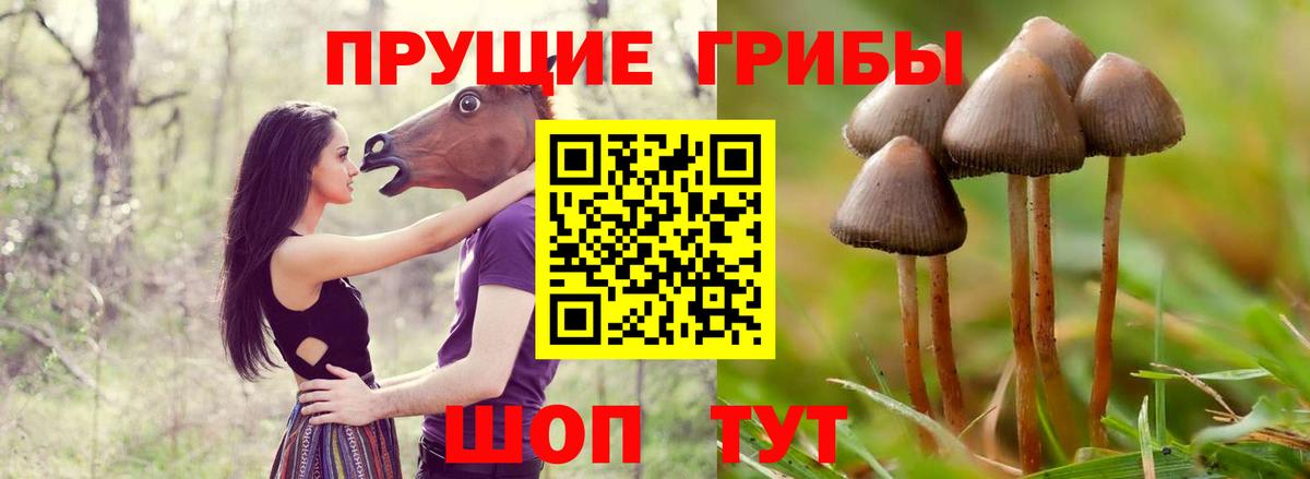 Псилоцибиновые грибы прущие грибы Уварово