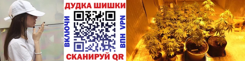 Бошки марихуана Bruce Banner  наркошоп  Уварово 
